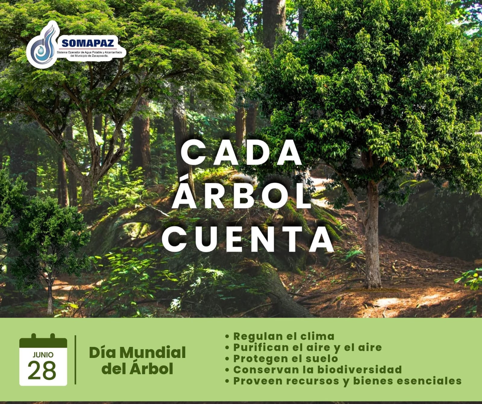 Foto de Cultura del Agua